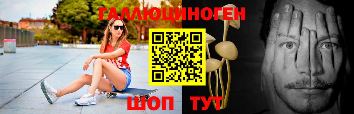 Шелехов  Псилоцибиновые грибы Psilocybine cubensis  купить   Вход с VPN 
